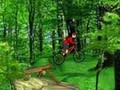 Mountain Bike para jogar online