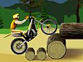 Stunt Dirt Bike para jogar online