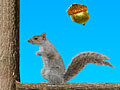 Acorn Toss para jogar online