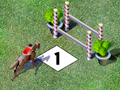 Show Jumping para jogar online