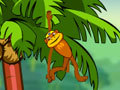 Spider Monkey para jogar online