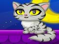 Purrfect Gatinho para jogar online