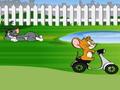 Tom e Jerry passeio Quintal para jogar online