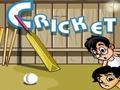 Galli Cricket para jogar online