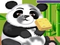 Cuidados Panda para jogar online