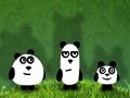 Panda Aventura para jogar online