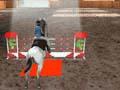 3D Equestre para jogar online