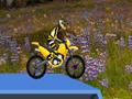 Hillblazer FMX para jogar online