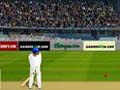 Cricket acelerado para jogar online