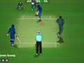 Cricket Perfeito para jogar online